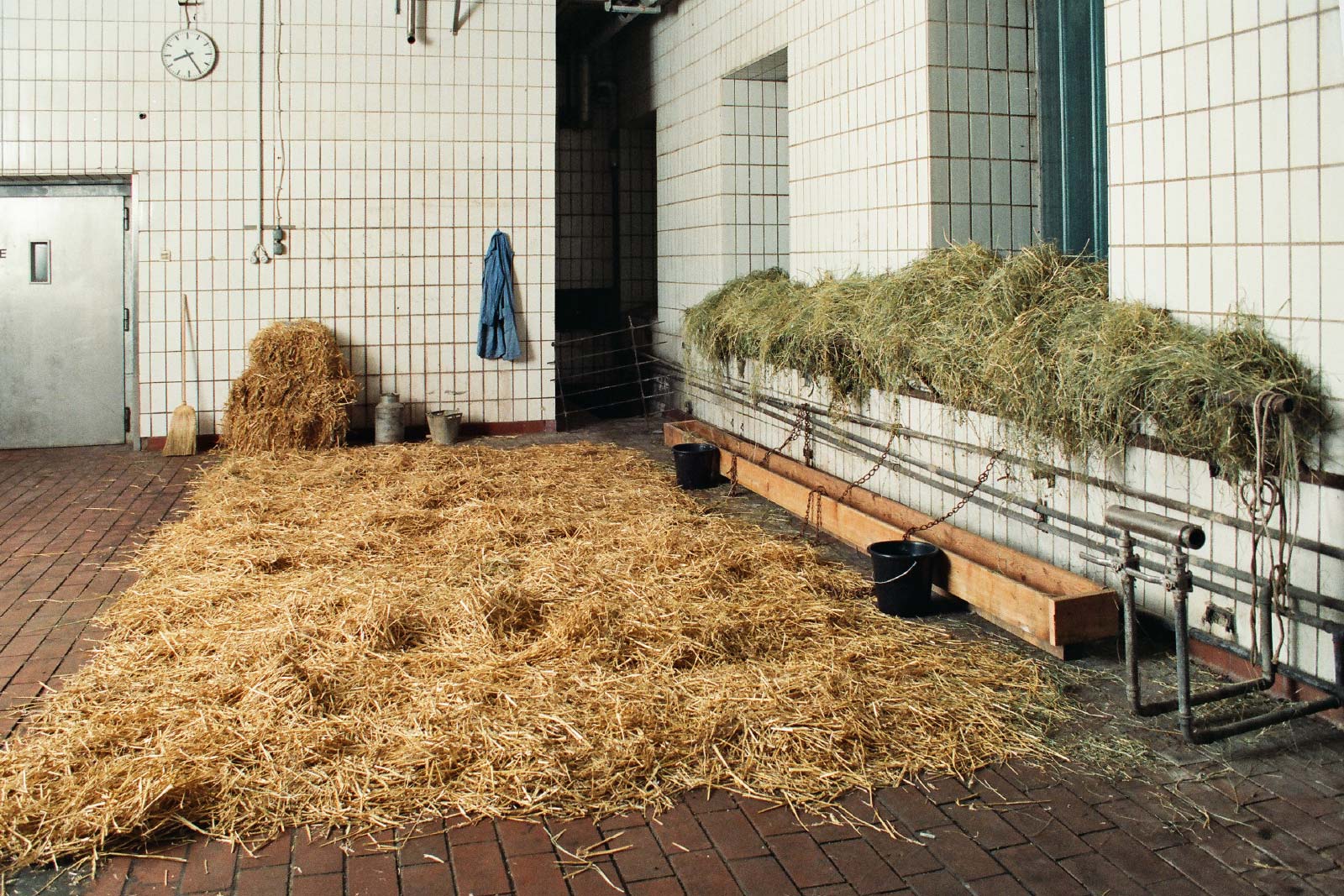 Stoi (Stall),
1996 | Installation in einer ehemaligen Molkerei in Wien am Prater
Stroh, Heu, Krippe, Futtertrog, Wassereimer, Ketten, Milchkanne, Melkeimer, Besen, Arbeitskittel