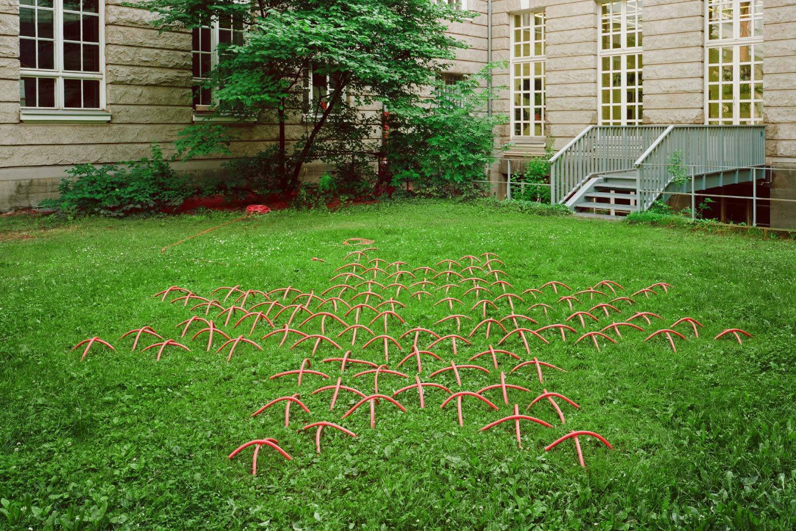 Kunst-Objekt von Josephine Riemann: ein durch den Rasen eines Gartens geführter Gartenschlauch, der einen Stern aus Kreuzstich-Stickmuster ergibt.