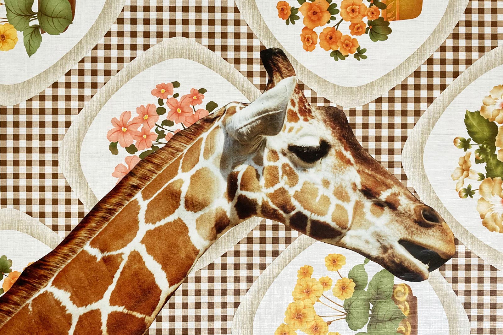 Giraffe und andere Collagen,
1991 | Collagen
Tapeten, Tierfotos von Kalenderblättern