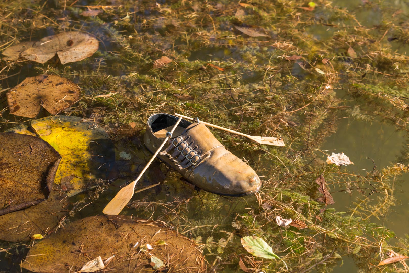 München Obermenzing (Ruderboot),
1999, 2000 | Objekt
getragener Schnallenschuh aus Leder, Holz, Metall, Bootslack